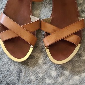 Steve Madden Bayley Brown Flat Sandals with Gold